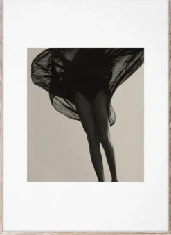 TRANSLUCENT I Poster